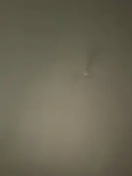 Bbsitaaaaa  live sex cam