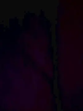 Meow88  live sex cam