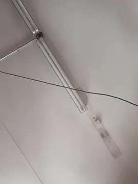 Braidqueen  live sex cam