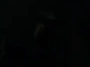 DickHERdown4FUN  live sex cam