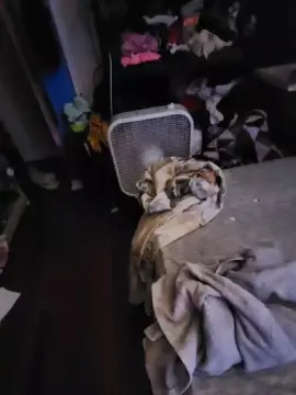 Scorpandcapri41  live sex cam