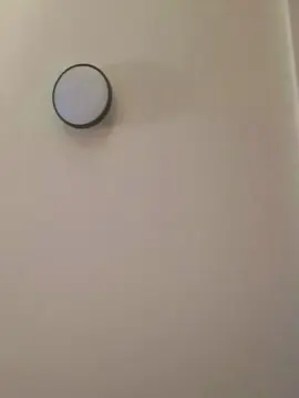 Duogourmand5  live sex cam