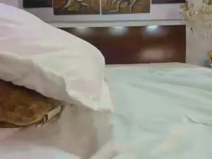 MeyBaldini  live sex cam