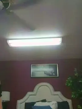 Moorediandra  live sex cam