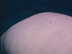 Girlyold  live sex cam
