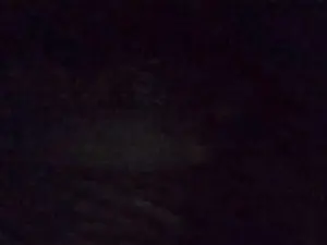 BLUE6923  live sex cam