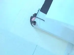 LiLibeth1  live sex cam