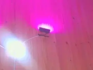 LiLibeth1  live sex cam