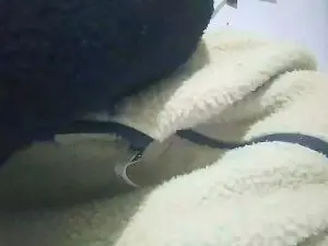 Selvaggia79sexy  live sex cam