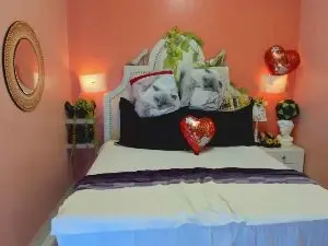 Dalila_Najjar_  live sex cam