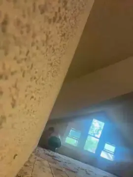 Munkeygirl  live sex cam