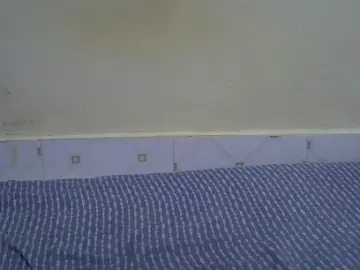 Wet_hairypus1  live sex cam