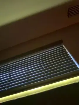 Lovelyyangell  live sex cam