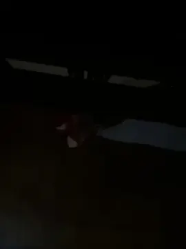 Miau1  live sex cam