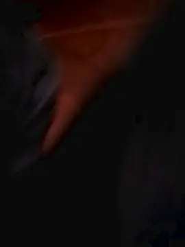 Kasalnovinhos  live sex cam
