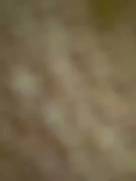 Elenaleny  live sex cam