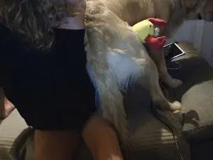 Mrs_Vagina  live sex cam