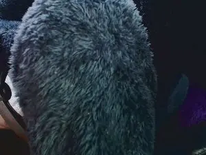 Sahotlove1_  live sex cam