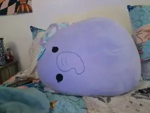 ScandlAmy  live sex cam