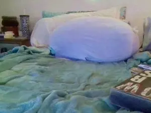 ScandlAmy  live sex cam