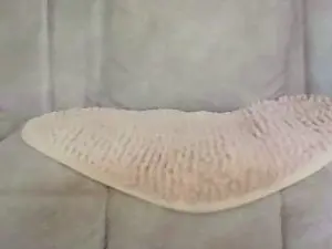 Hotangelt  live sex cam