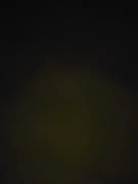 Fragolechampag2  live sex cam
