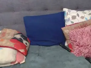 CurvychocClitts  live sex cam