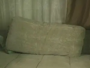 HolliTerre  live sex cam