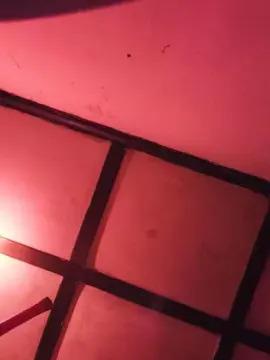Kary  live sex cam