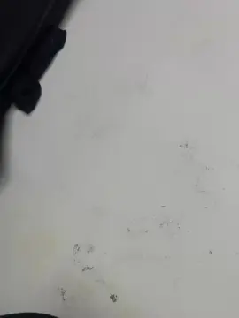 Locofelipehot  live sex cam