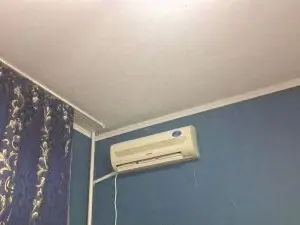 ShanelColtey  live sex cam