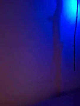 Pissriot  live sex cam