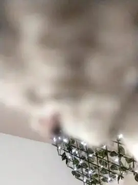 Mich76  live sex cam
