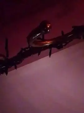 Zoccoletta1  live sex cam