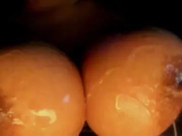_always_horny  live sex cam