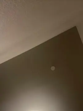 Kittycat  live sex cam