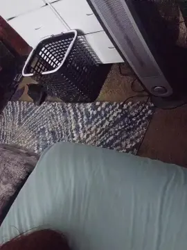 _elise_  live sex cam