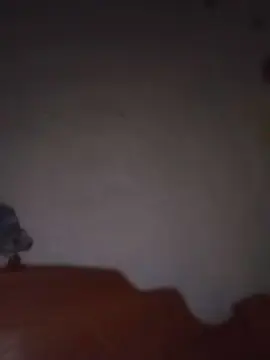Tugata  live sex cam