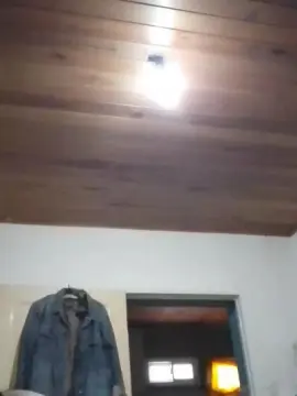 Agustinatuputi1  live sex cam
