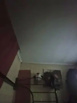 Pareja581  live sex cam