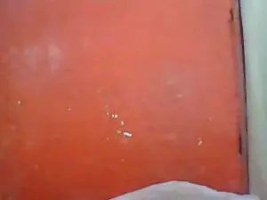 Carene  live sex cam