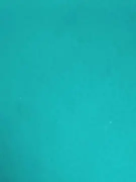 Cocobusier_P  live sex cam