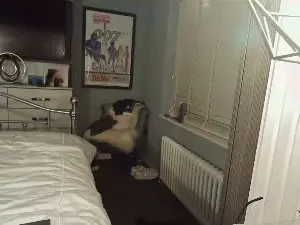 Spectre35  live sex cam