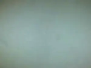 Badgirllady  live sex cam