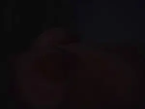 Mxxexoni  live sex cam