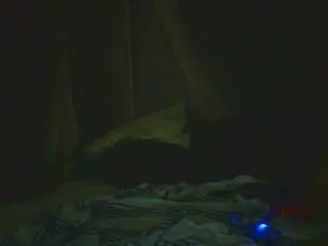 Lilbaby4689  live sex cam