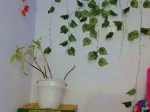 SabrinaOlson  live sex cam