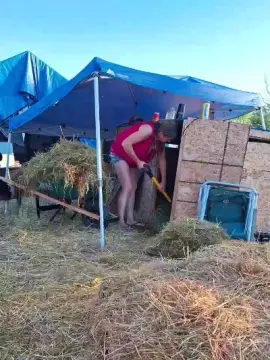 Farmermilf83  live sex cam