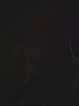 Queensammy1  live sex cam