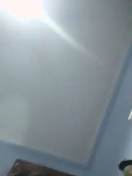 Miss_teff  live sex cam